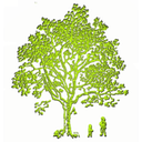 Fonden/Den selvejende institution Birkemosegård