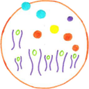 Opholdsstedet Knagebjerggaard